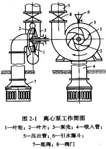 给(gei)水泵、给(ji)水泵别再傻傻分不清楚(内含动画)- 给(gei)水泵、给(ji)水泵别再傻傻分不清楚(内含动画)-