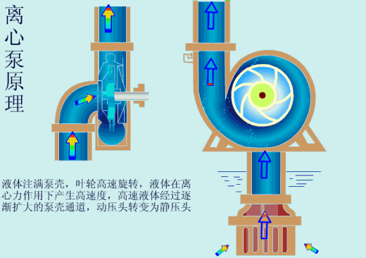 给(gei)水泵、给(ji)水泵别再傻傻分不清楚(内含动画)- 给(gei)水泵、给(ji)水泵别再傻傻分不清楚(内含动画)-