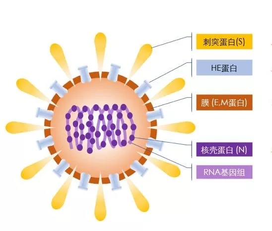 疫情来势汹汹,如何做好个人防护?这些问题要明白!- 疫情来势汹汹,如何做好个人防护?这些问题要明白!-
