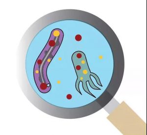 污水厂内的生物气溶胶,污水从业人员必读- 污水厂内的生物气溶胶,污水从业人员必读-