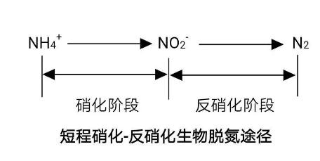 生化法除氨氮的技术汇总!- 生化法除氨氮的技术汇总!-