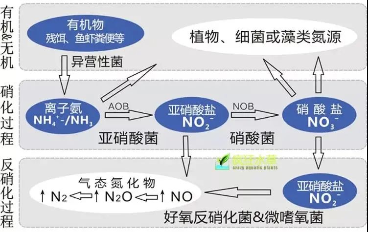 面对低浓度氨氮工业废水束手无策?这几种方法可以解决- 面对低浓度氨氮工业废水束手无策?这几种方法可以解决-